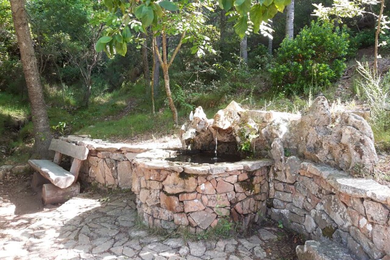 Sentieri dei Pastori tra bosco e sorgenti naturali — 2