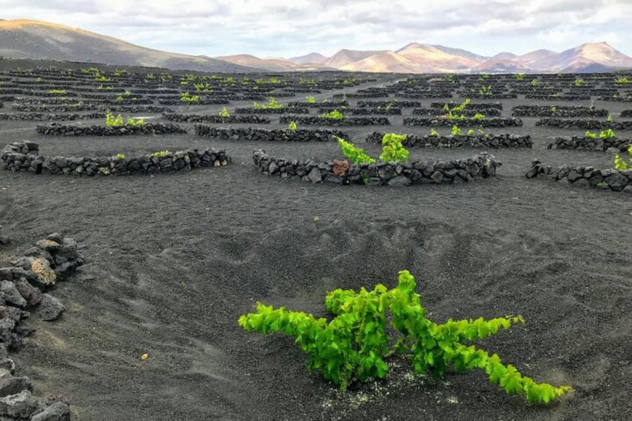 Esperienza sul vulcano Timanfaya e Lanzarote — 8