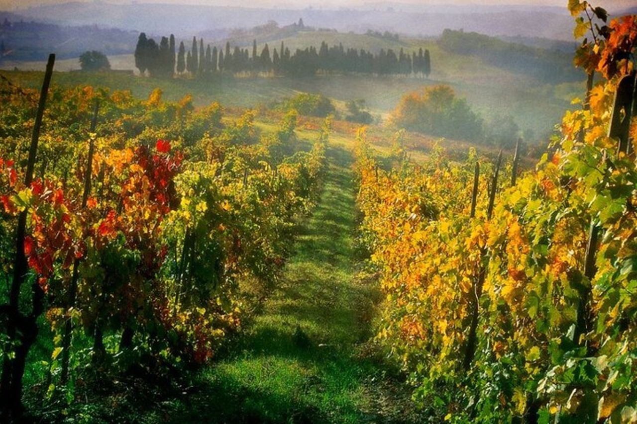 Escursione in Toscana da Siena con degustazione di vini — 7