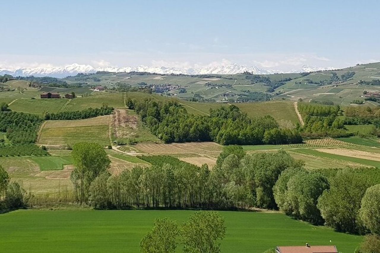 Biglietto d'ingresso al Museo delle Langhe — 4