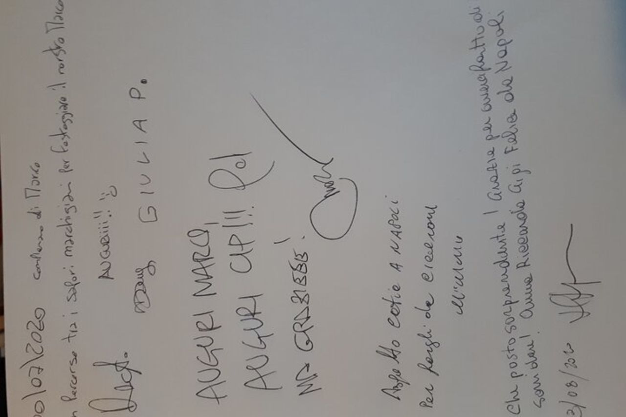 Tour del vino e degustazione presso la Più Antica Azienda Vinicola delle Marche