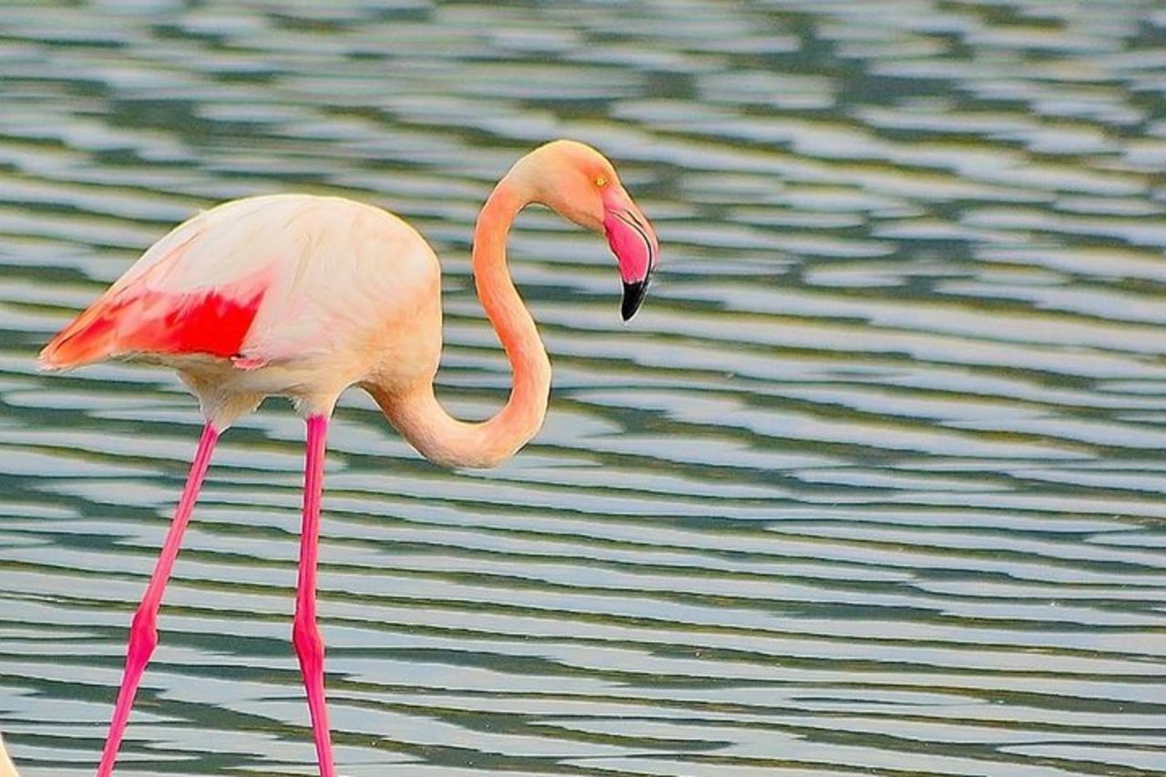 Cagliari: esperienza di avventura in quad da Chia — 7