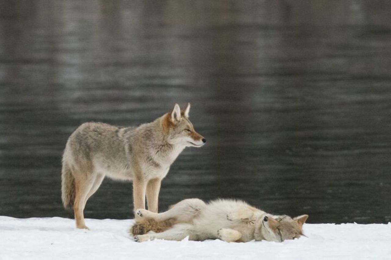 Winter Discovery Tour — 6