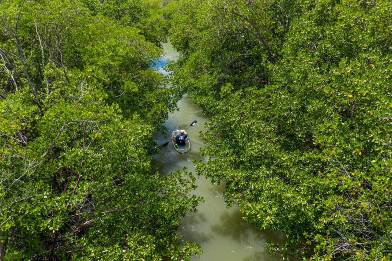 Tour guidato in kayak a Napoli Nord — 4
