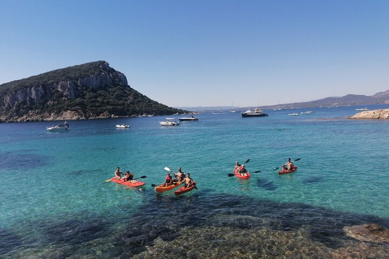 Tour in Kayak con aperitivo e delfini — 2