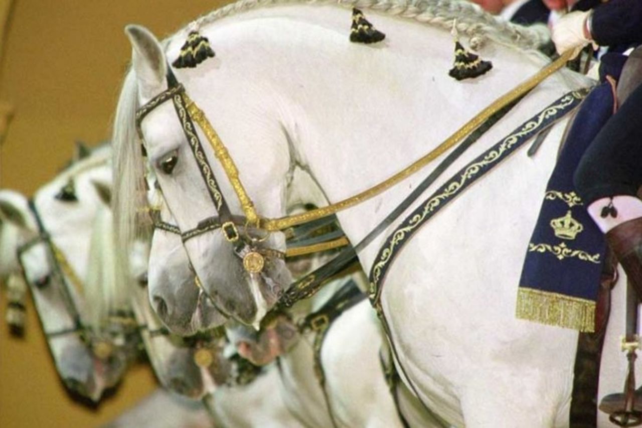 Gita di un giorno da Siviglia a Jerez e Cadice — 6