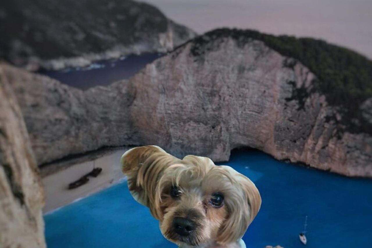 Tour per piccoli gruppi di Zante max 10 pers Baia del relitto e grotte blu — 8