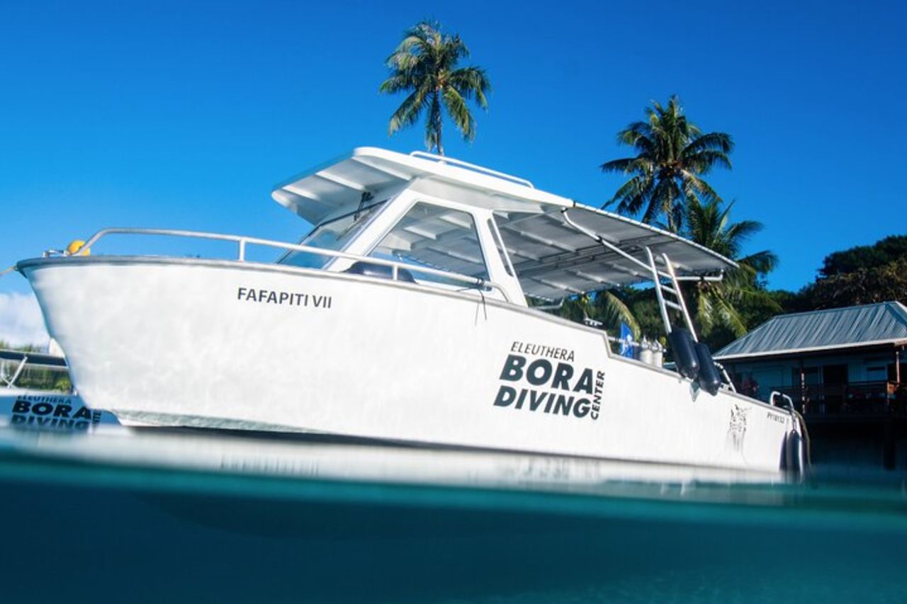 Immersione introduttiva a Bora Bora (pomeriggio) — 5