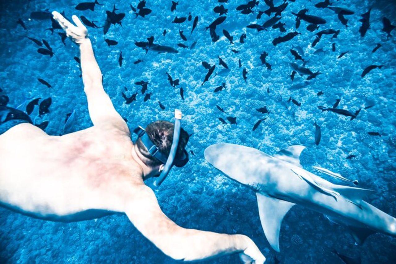 Un'intera giornata in crociera presso la Laguna di Bora Bora che include lo snorkeling con gli squali e le razze — 7