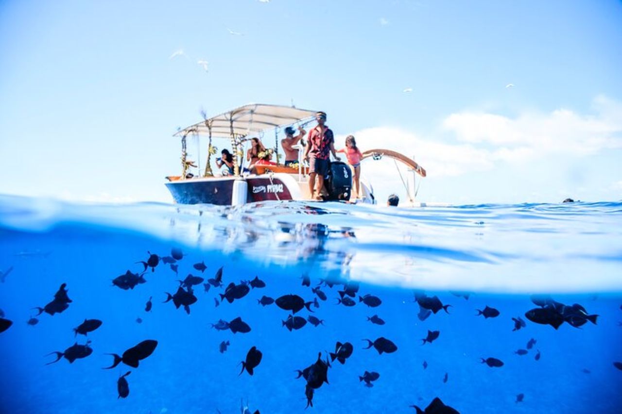 Tour combinato di Bora Bora: crociera in laguna e tour in 4x4 con snorkeling incluso — 8