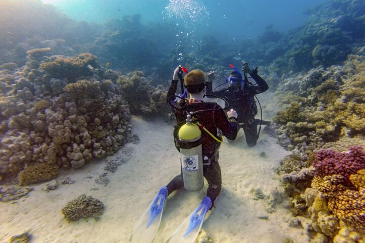 Gita in mare rosso da Hurghada: principianti ai sub avanzati — 8