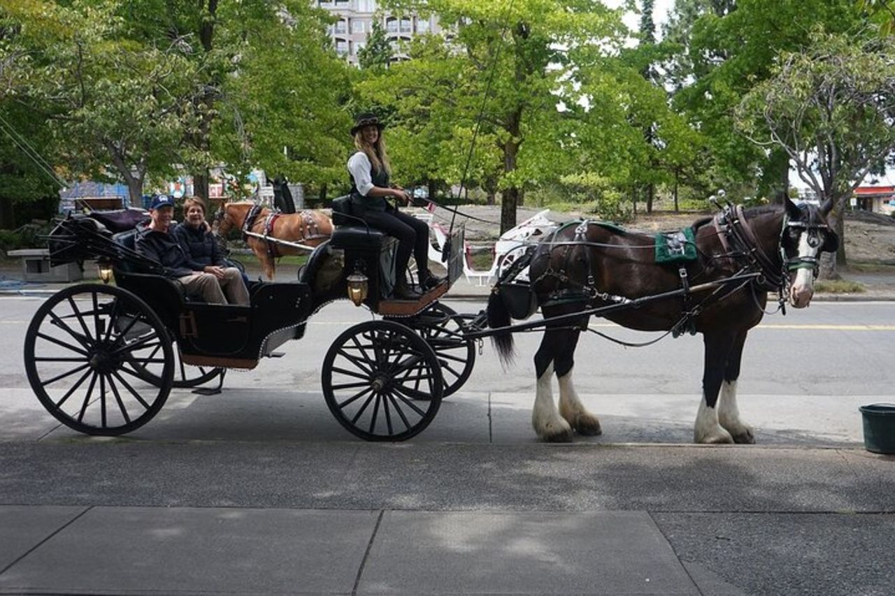 Tour di 45 minuti dal parco — 3