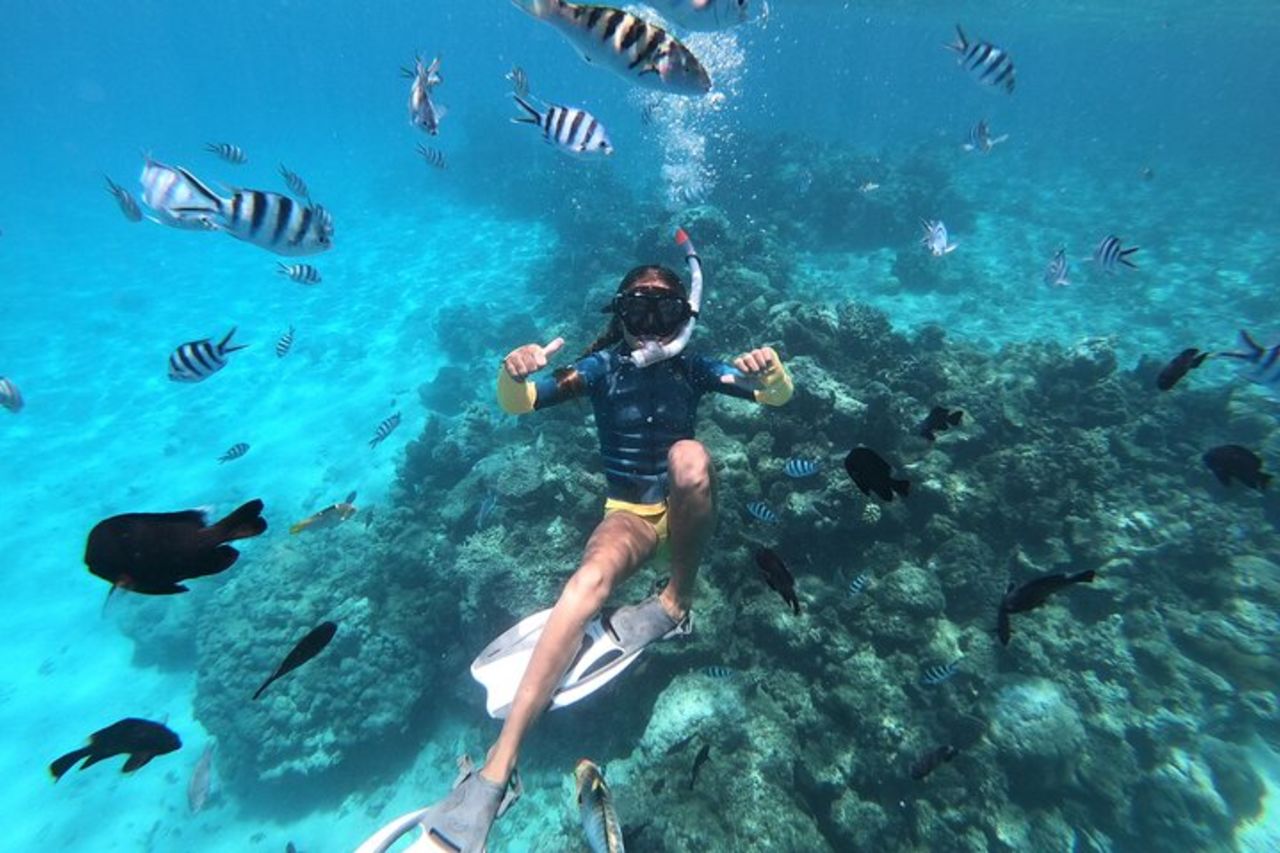 Escursione di mezza giornata per lo snorkeling a Tahiti — 2