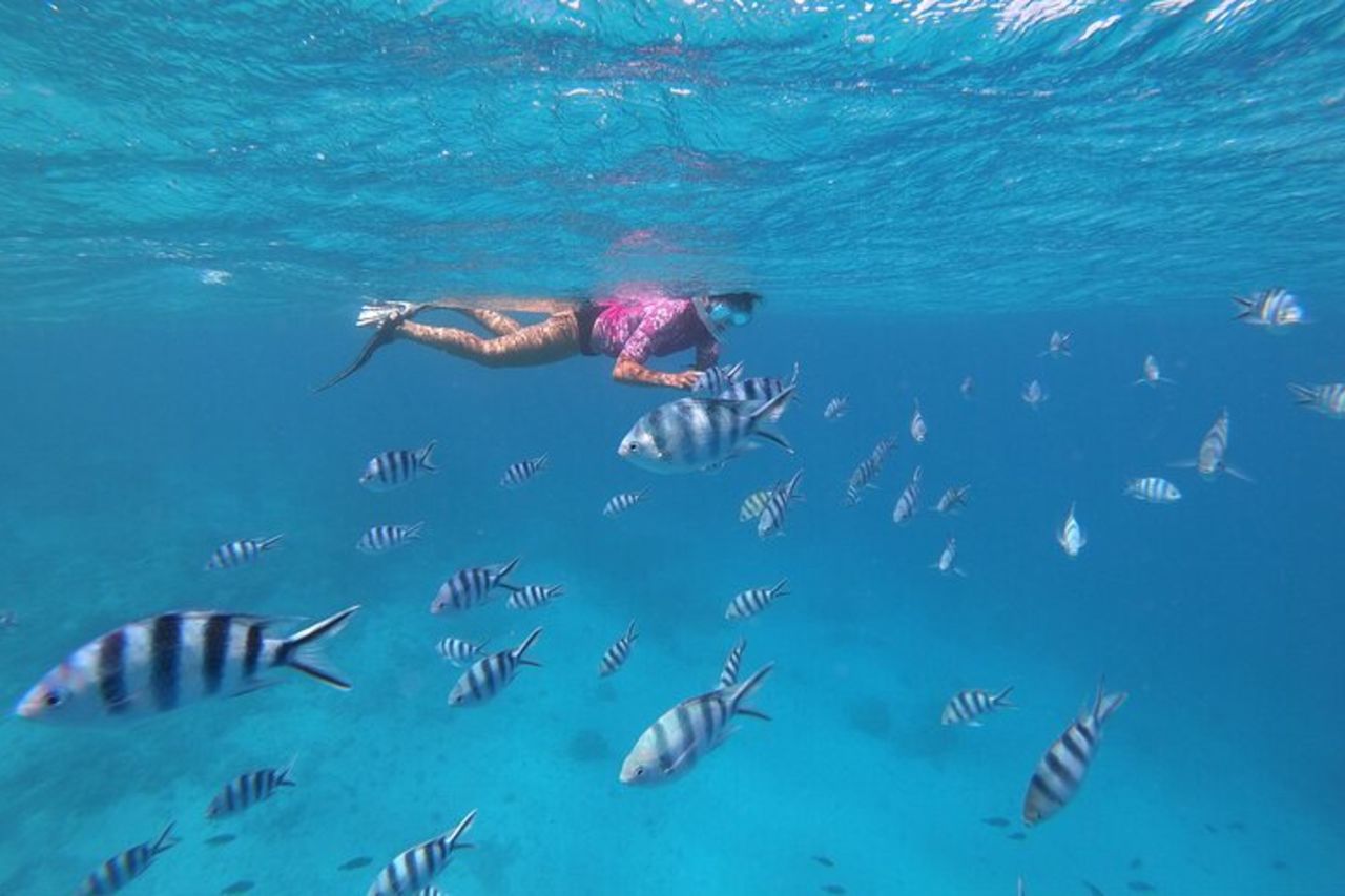 Escursione di mezza giornata per lo snorkeling a Tahiti