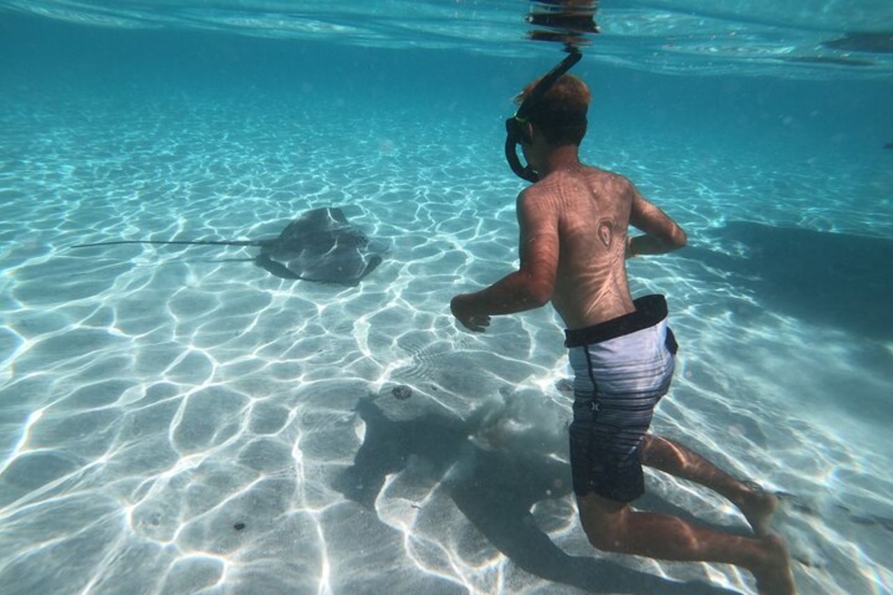 Escursione di mezza giornata per lo snorkeling a Tahiti — 4