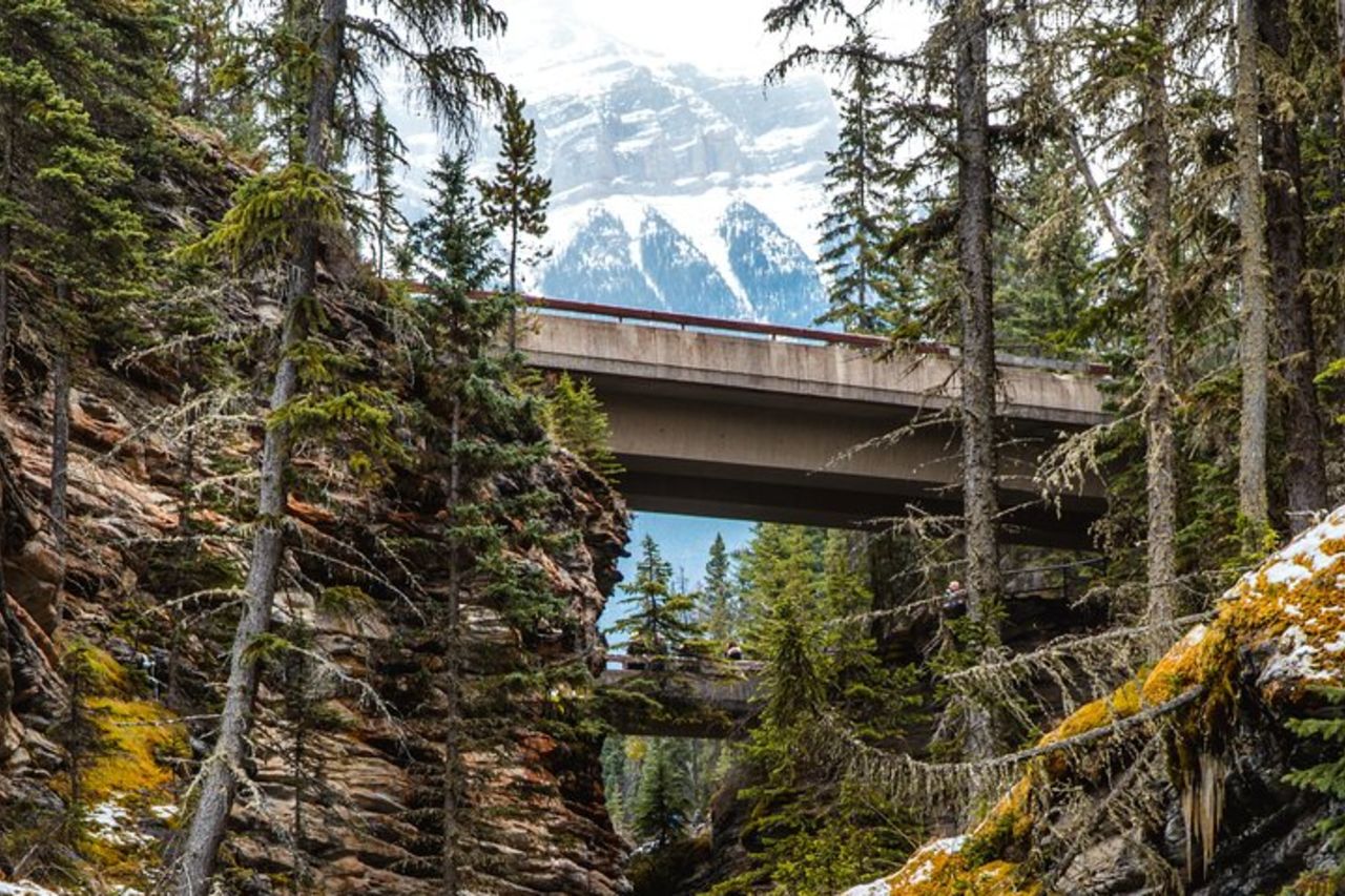 Icefields Parkway: un tour di guida audio per smartphone — 5