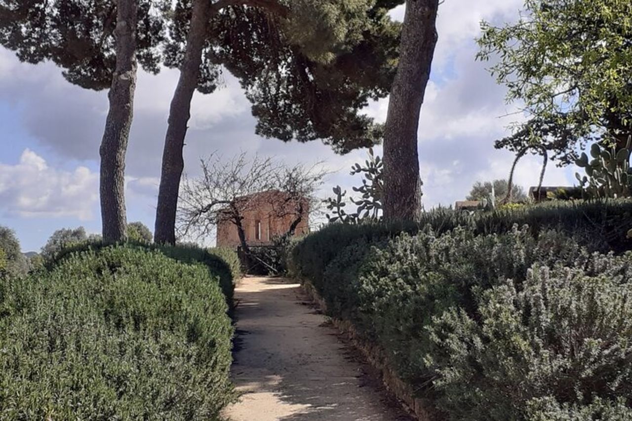 Tour a piedi della Valle dei Templi — 4