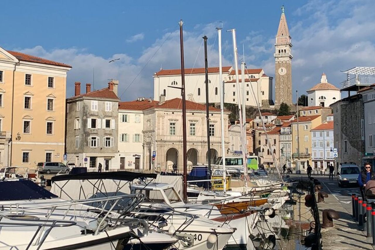 Pirano e tour panoramico della costa slovena (fino a 8 persone) — 5
