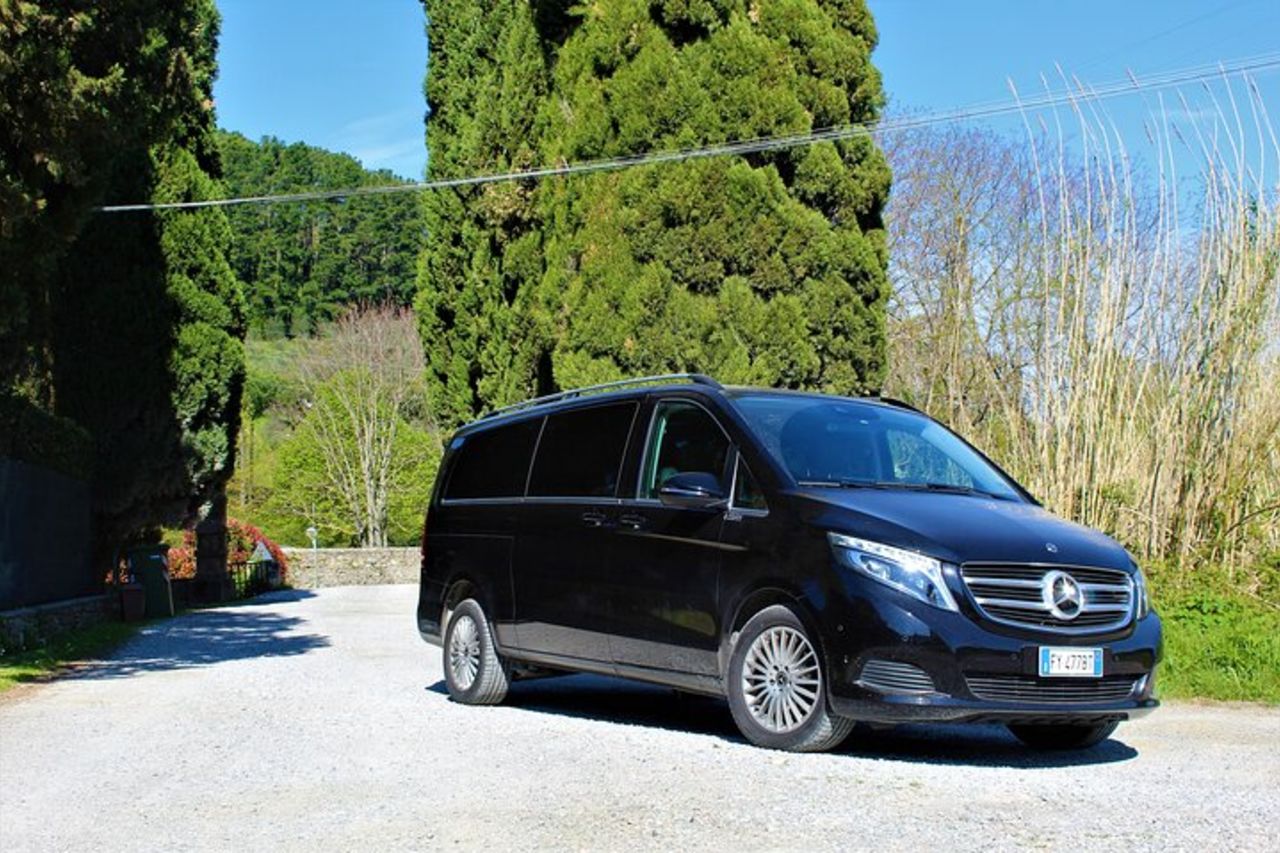 Degustazione in un Vigneto Toscano con trasferimento da Lucca — 9