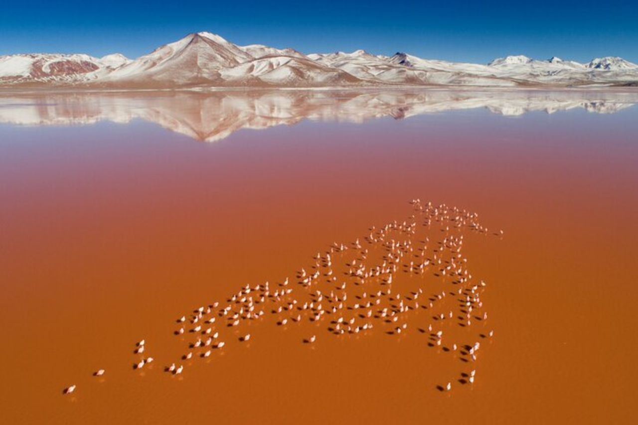 Tour di 3 giorni alle lagune saline e colorate di Uyuni + tramonto + effetto specchio