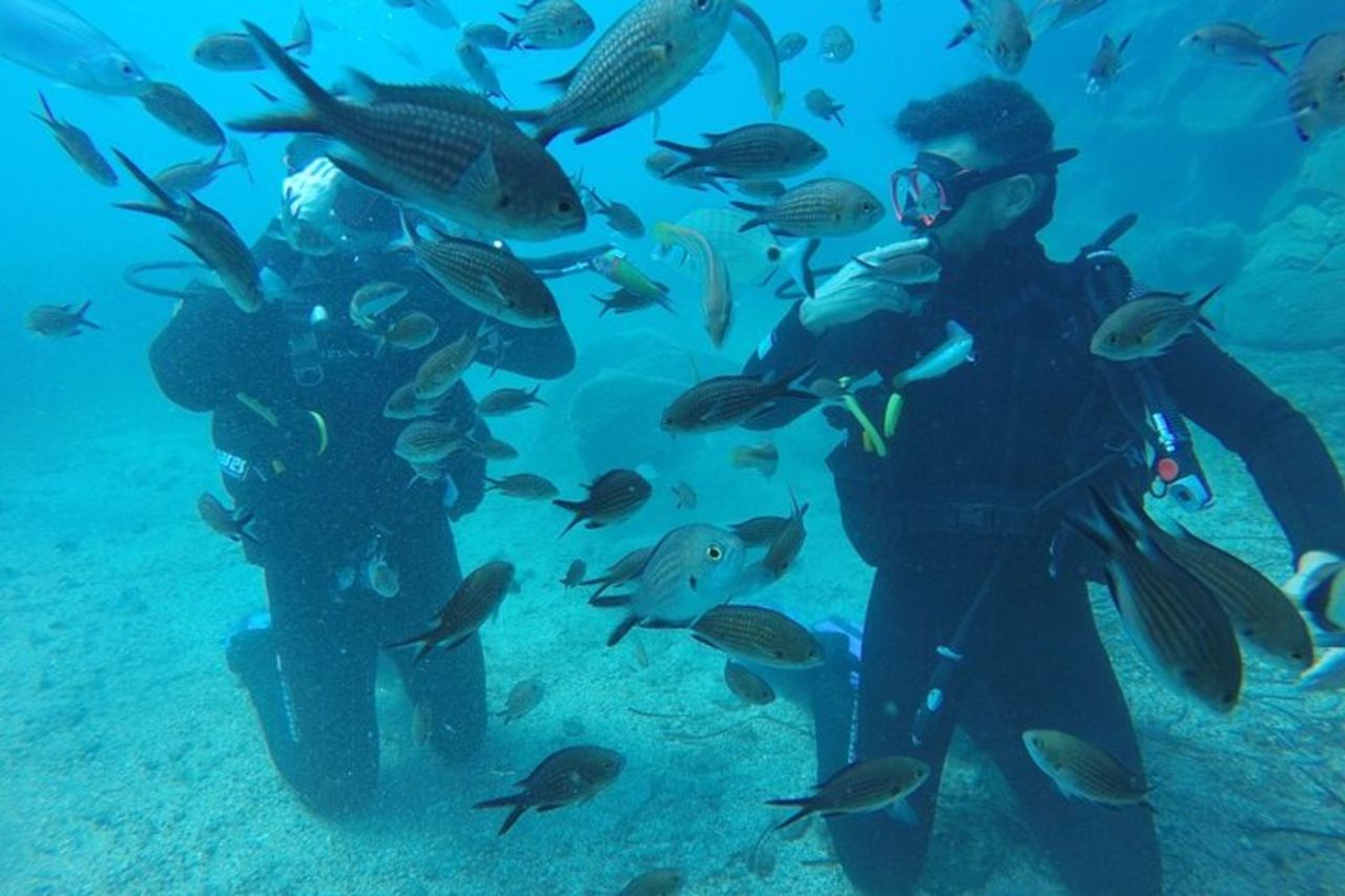 Esperienza di immersioni subacquee a Santorini — 9