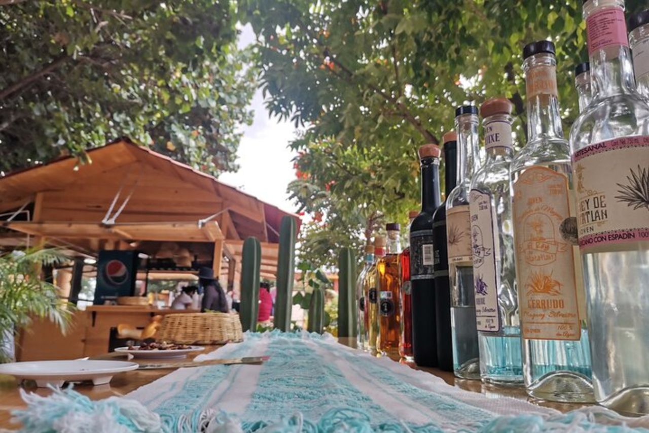 Tour guidato di un'intera giornata a Hierve el Agua a Oaxaca — 2