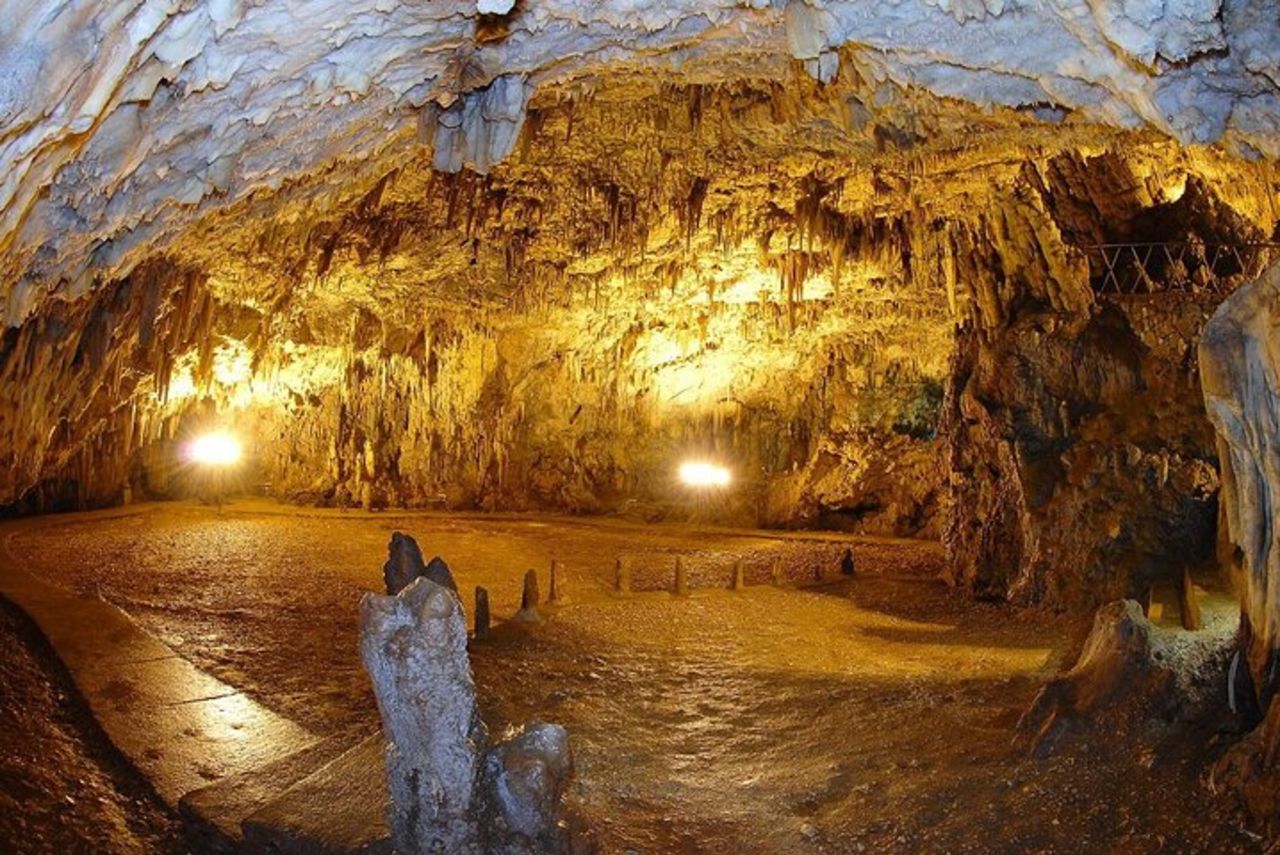 Tour guidato di un'intera giornata dell'isola di Fiskardo [Da Cefalonia] — 7