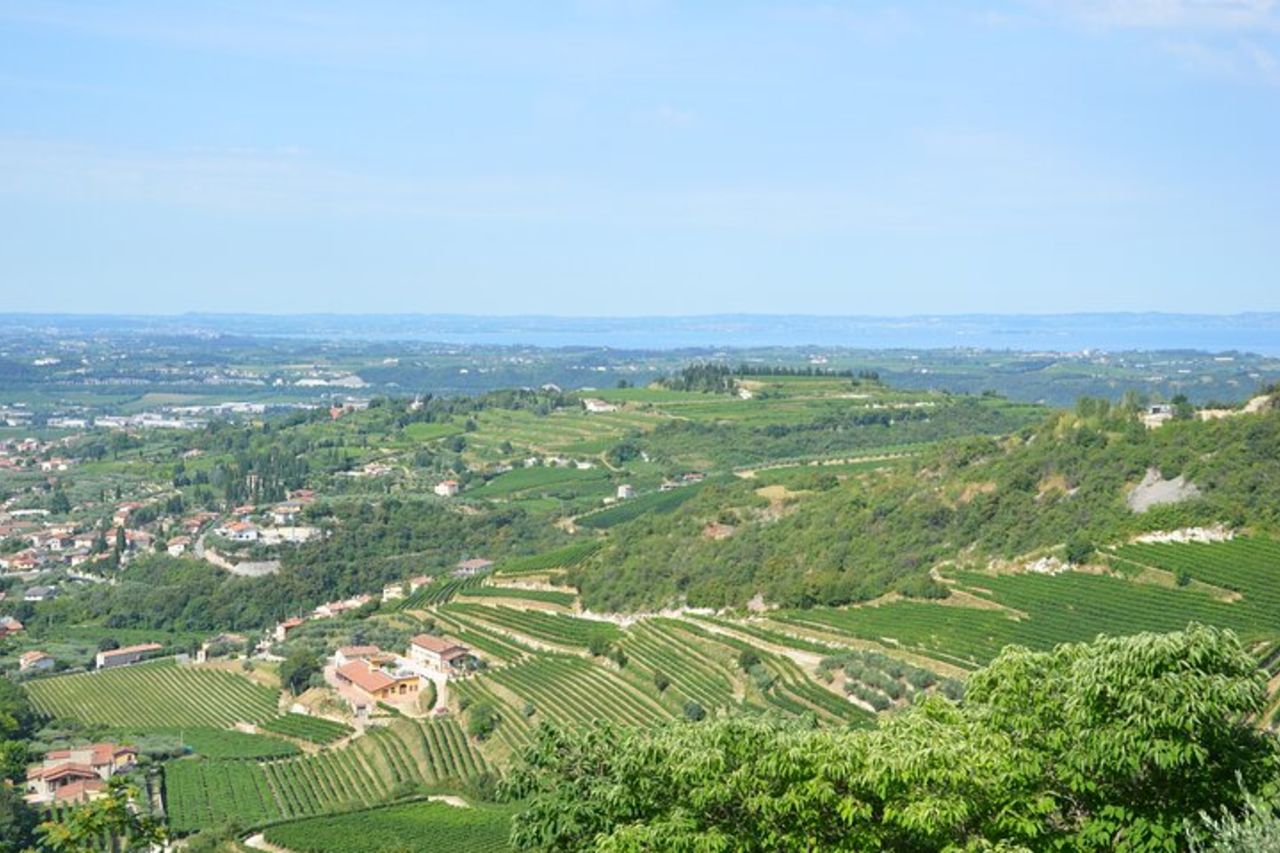 Pagus Wine Tours® - Un assaggio di Amarone - Tour del vino di mezza giornata — 3