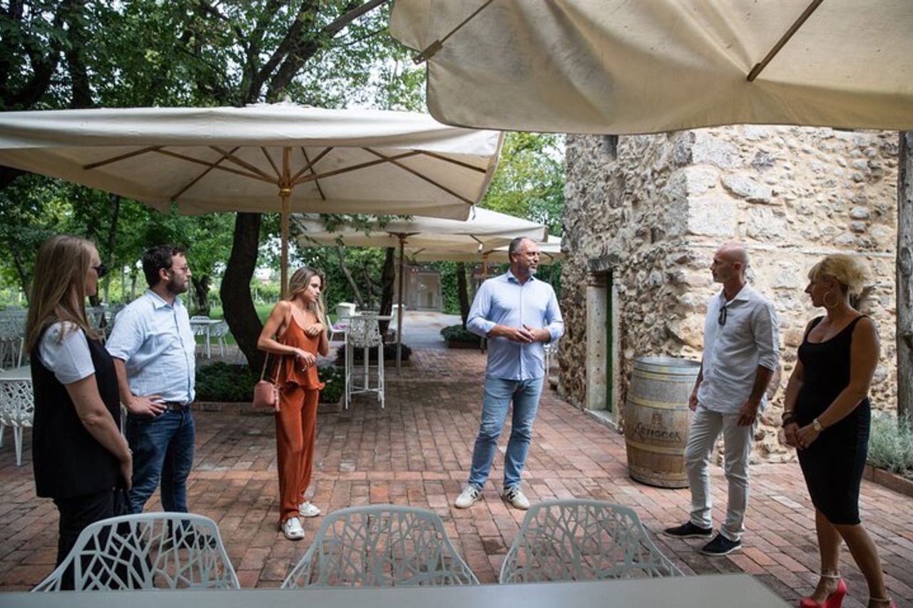 Tour e Degustazione di Vini Biologici a Lazise — 6