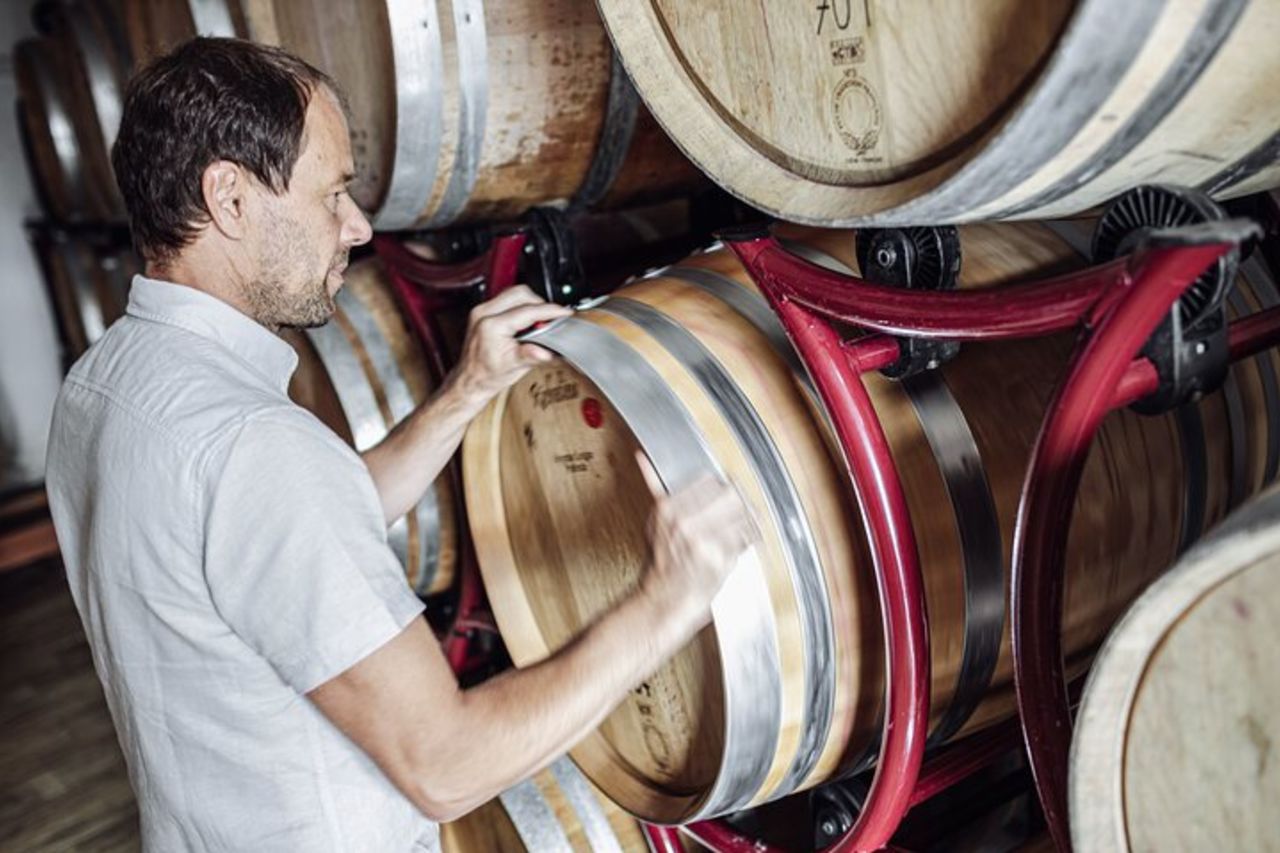 Visita guidata alla cantina con degustazione a Bolzano presso lo SKYWINE PAVILLON — 3