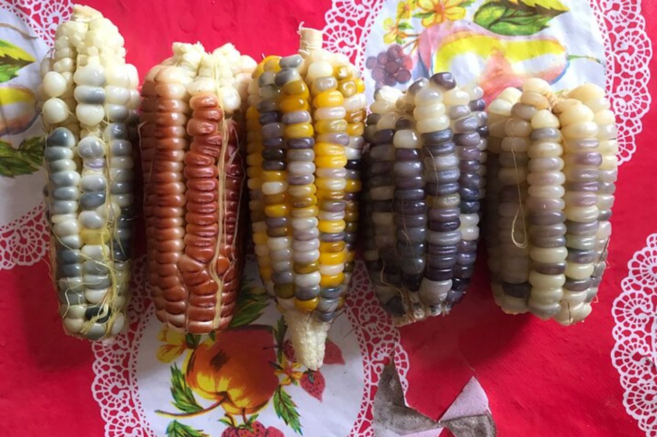 La vera esperienza culinaria tradizionale di Oaxaca — 9