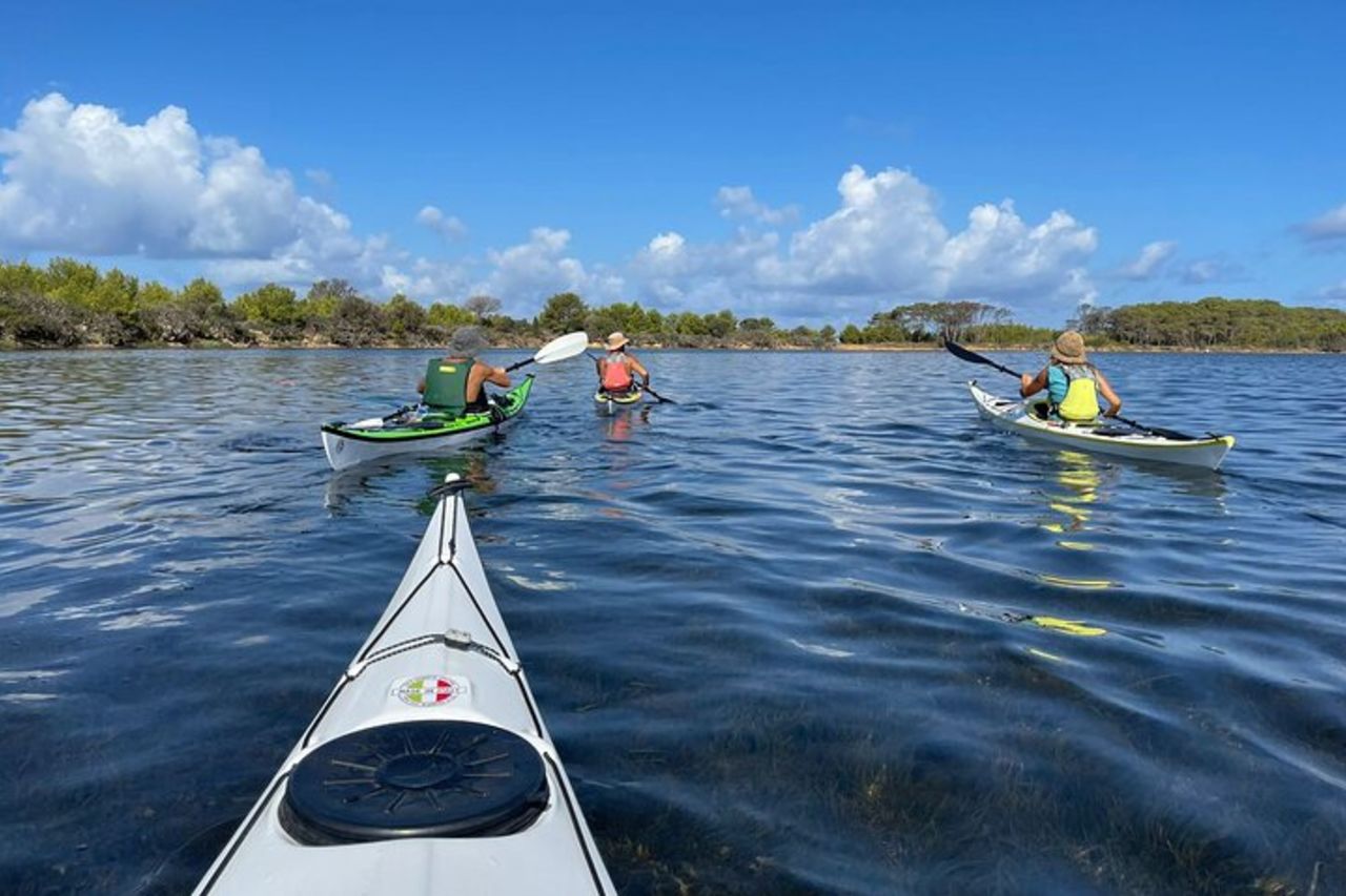 Tour guidato in kayak all'interno dello Stagnone di Marsala — 9