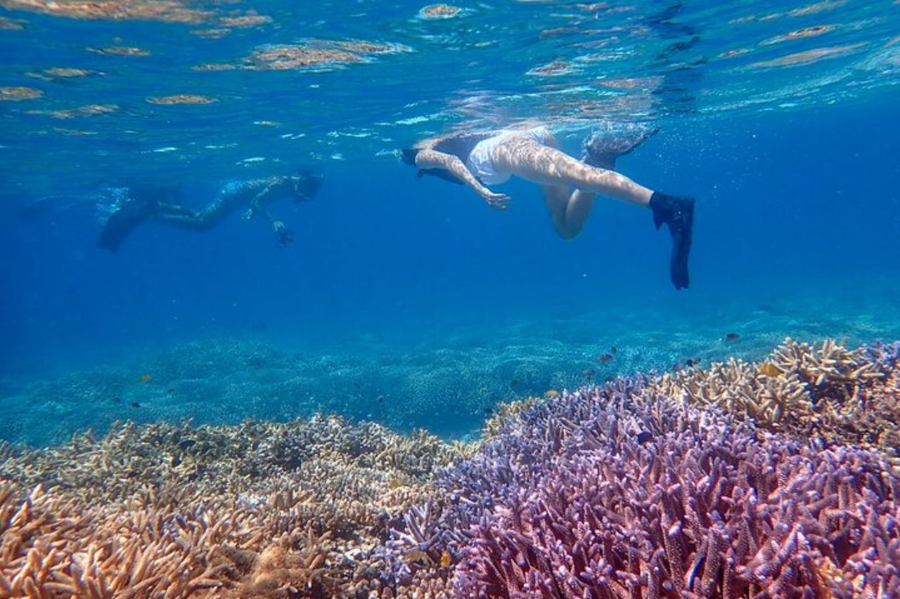 Snorkeling all'Isola Fantasma di Okinawa Ishigaki e alla Grotta Blu — 6
