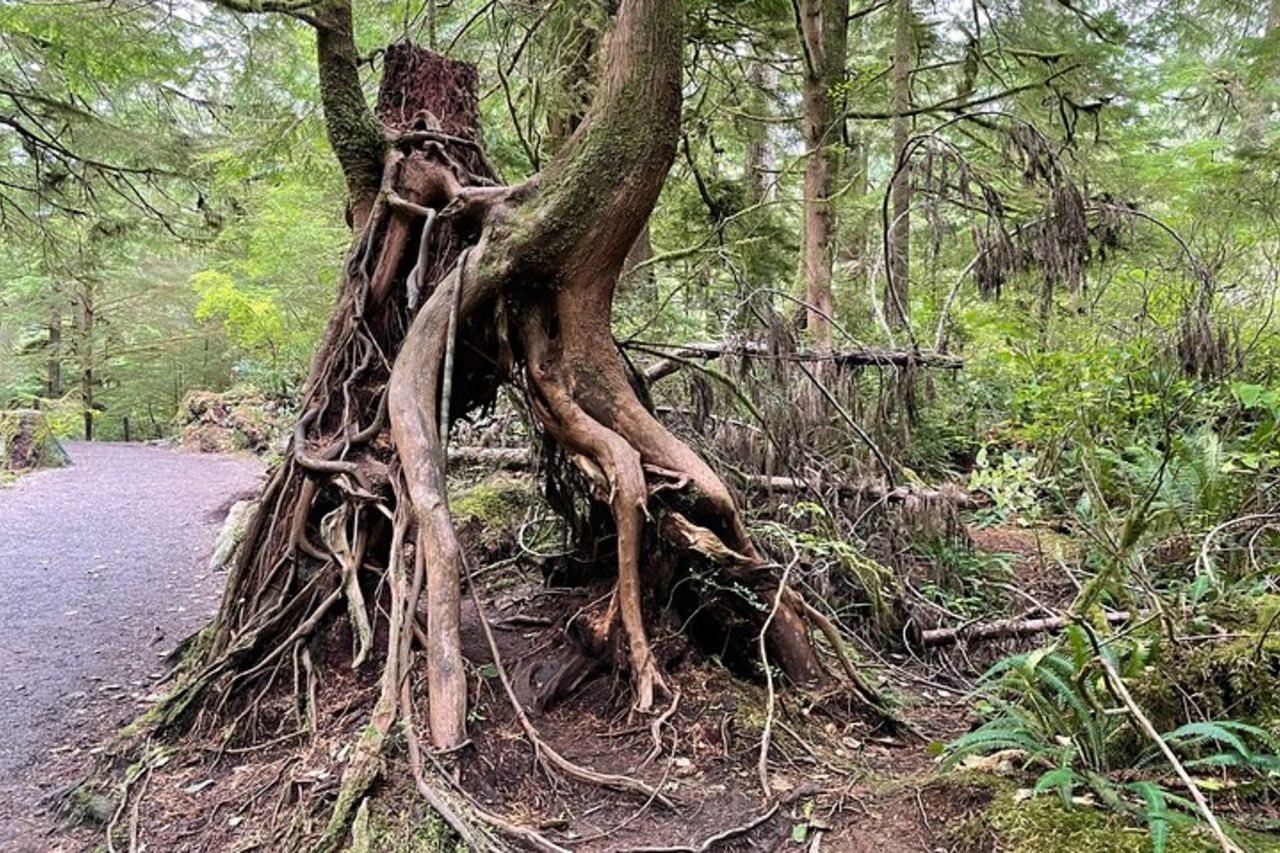 Gita giornaliera nella costa dell'Oregon: Cannon Beach e Haystack Rock — 8