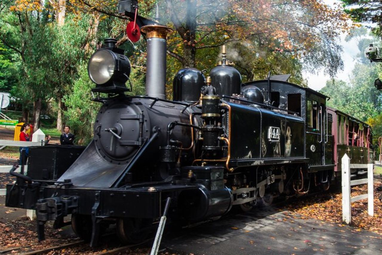 Puffing Billy e tour panoramico del santuario di Healesville — 3