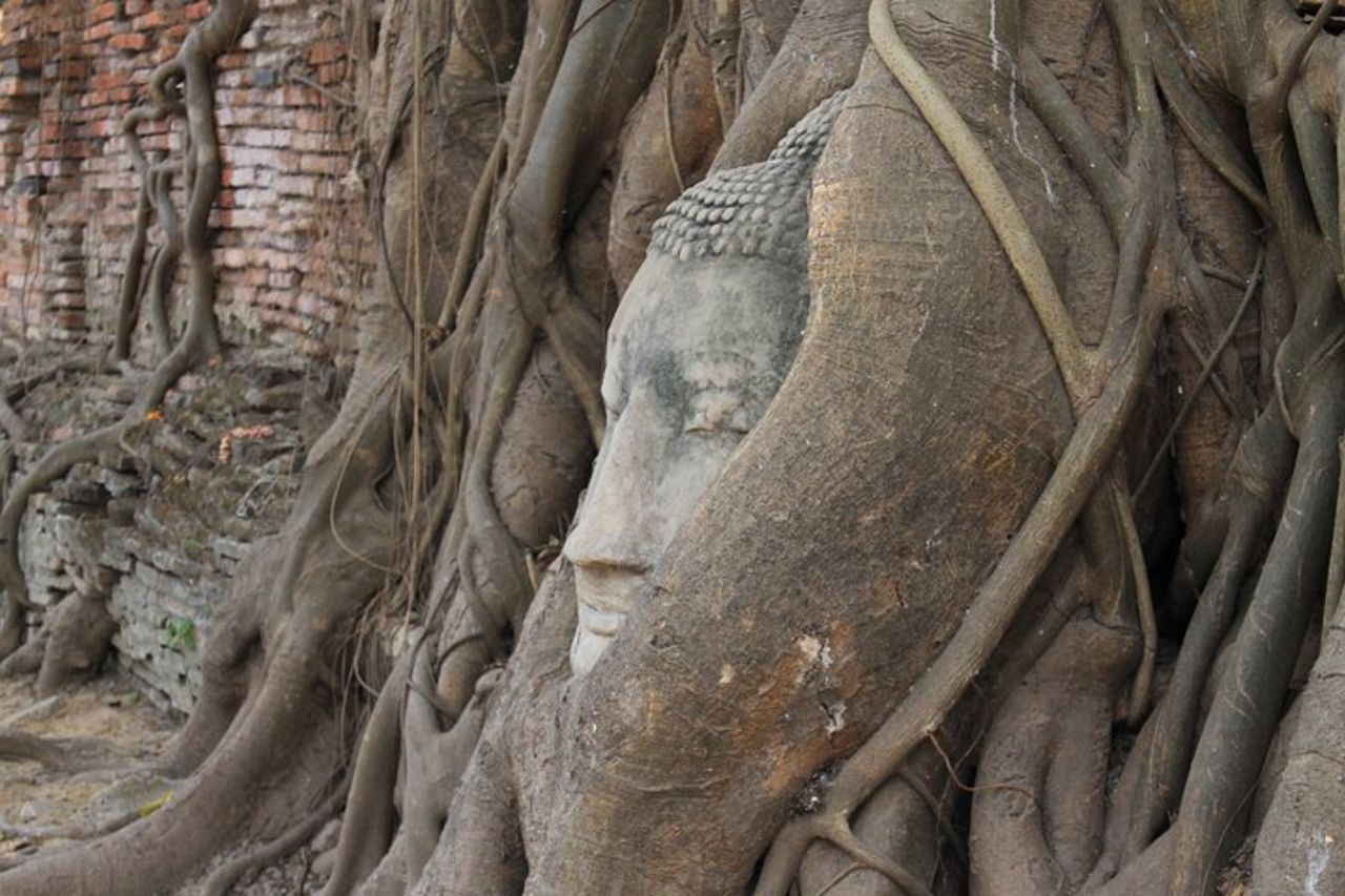 Tour per piccoli gruppi ai templi di Ayutthaya da Bangkok con pranzo — 5