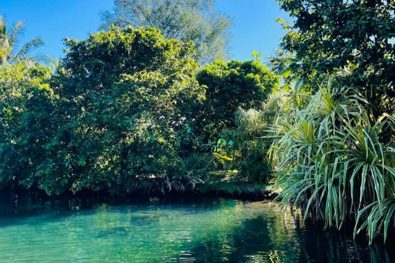 Mezza giornata della penisola di Tahiti e tour in barca di Teahupoo (barca condivisa) — 8