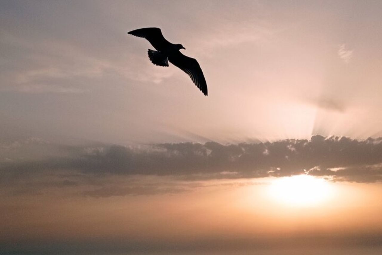 Cefalú Tour in Barca con aperitivo al tramonto — 9