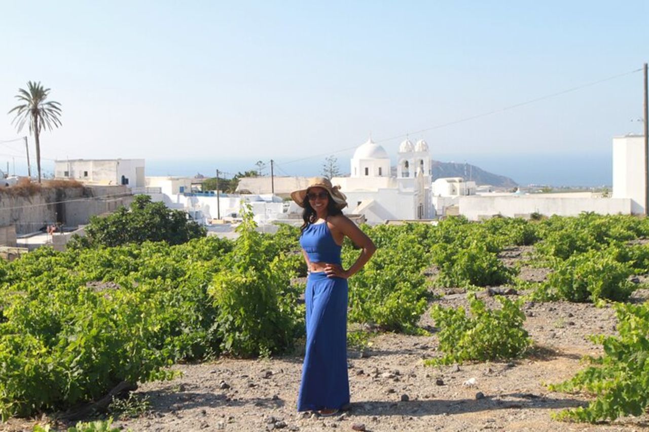 Santorini Highlights Tour privato — 4