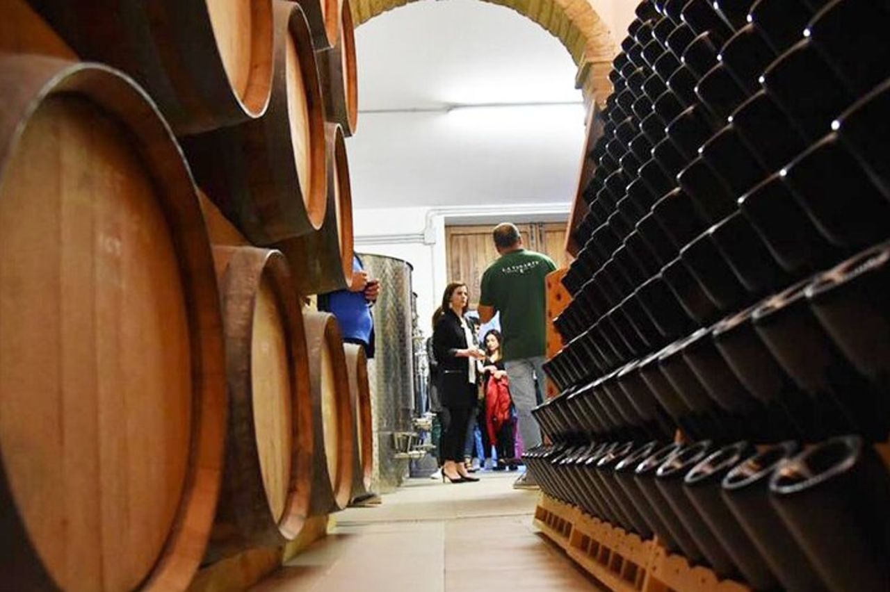 Degustazione Vini e Visita Guidata in Vigna e Cantina a S. Maria Imbaro — 6