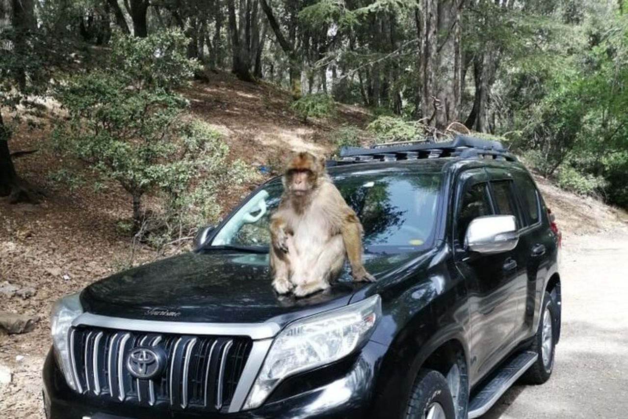 3D2N Marrakech a Fez/Marrakech : due notti Merzouga (Campo + Hotel) — 8