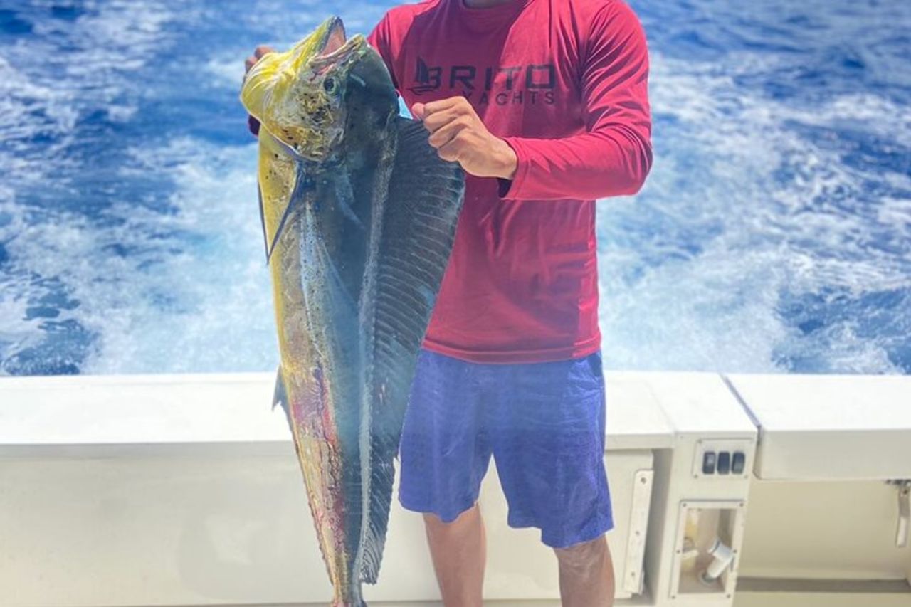 Pescare e mangiare direttamente dal mare (ISOLA DI SAONA E PALMILLA) — 2