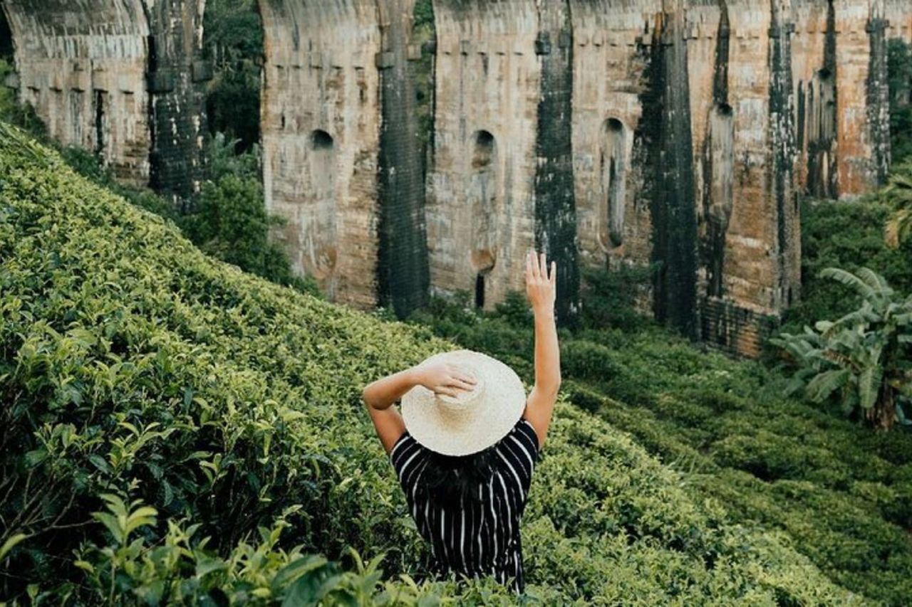 Scopri tre icone in Ella — 2