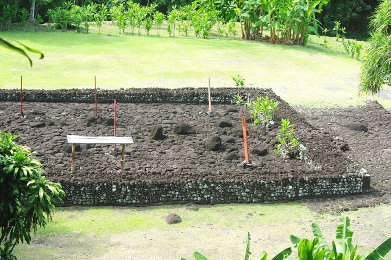 Tour dell'isola di Tahiti di 5 ore - Costa occidentale e orientale — 3