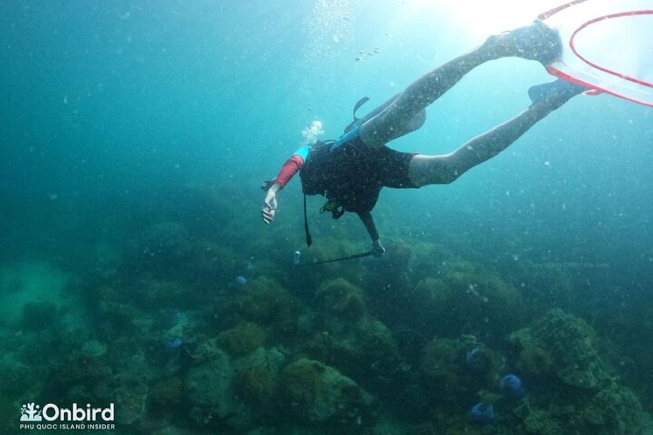 [GRUPPO] IMMERSIONI SUBACQUEE per subacquei certificati a Phu Quoc Island — 2