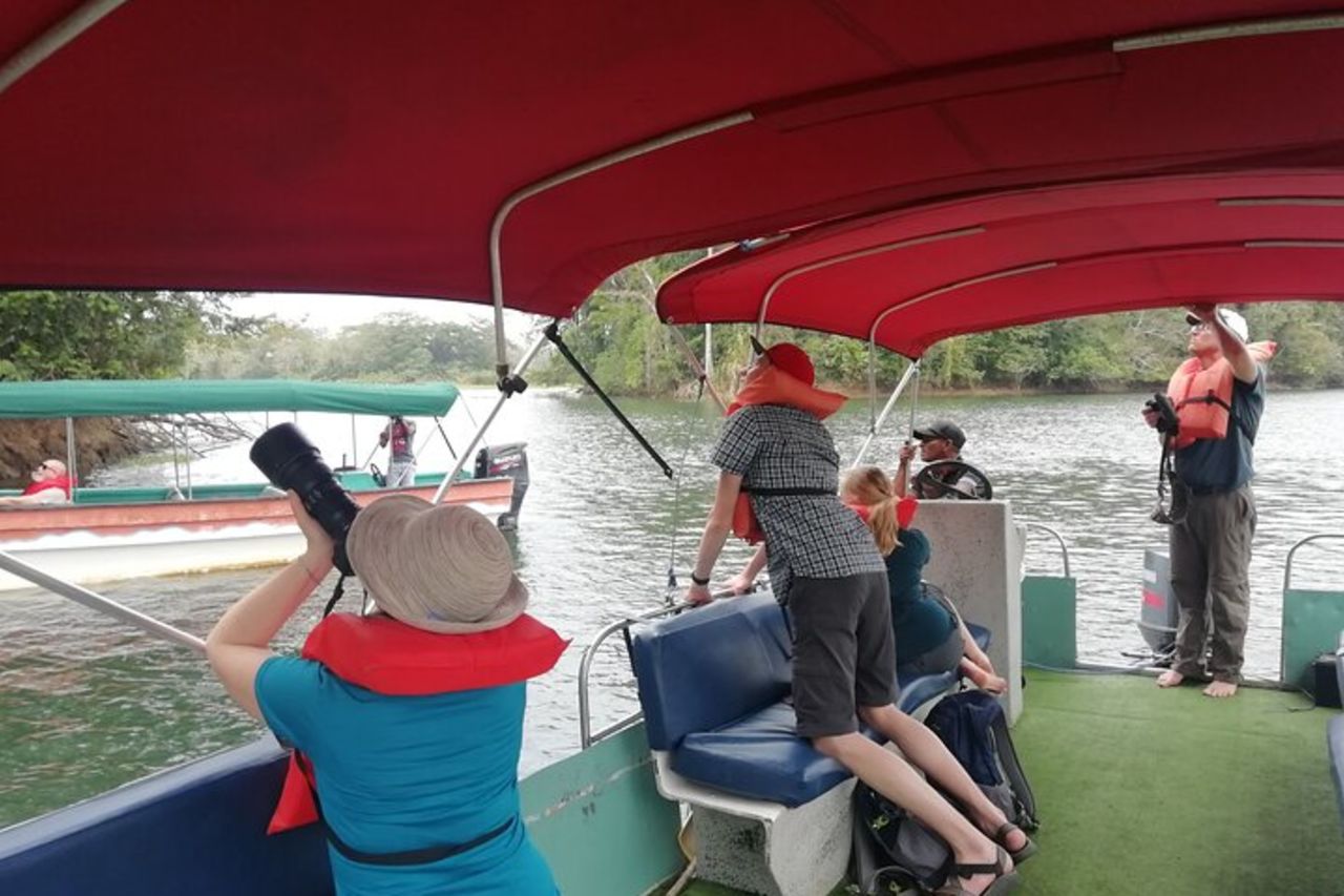 Birding ACHIOTE ROAD dal porto di Colon della nave da crociera — 4