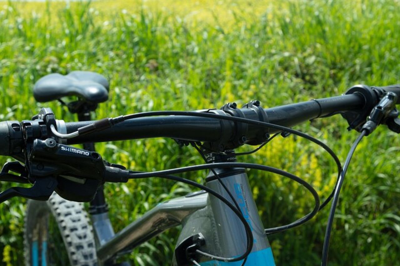 Giornata in Tour Guidato in Balcone delle Meraviglie