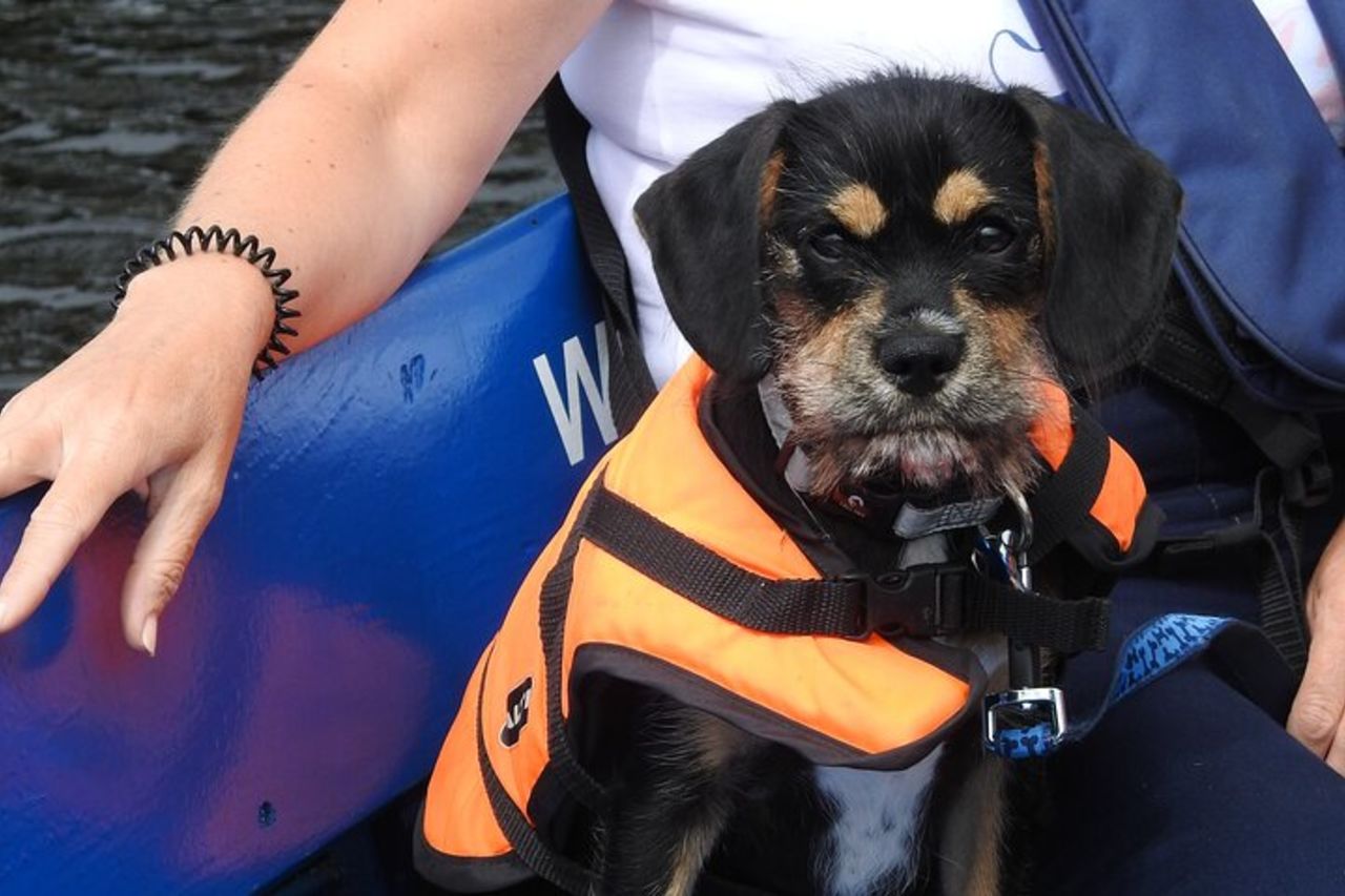 Gita in barca a Kilkenny — 8