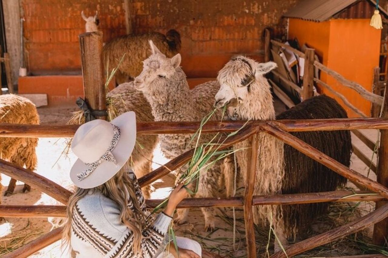 L'ultimo tour di un'intera giornata nella Valle Sacra — 4