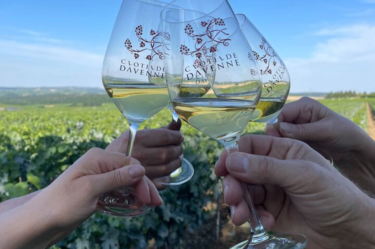 Giro privato dei Grands Crus con degustazione di e-Mehari e Chablis — 4